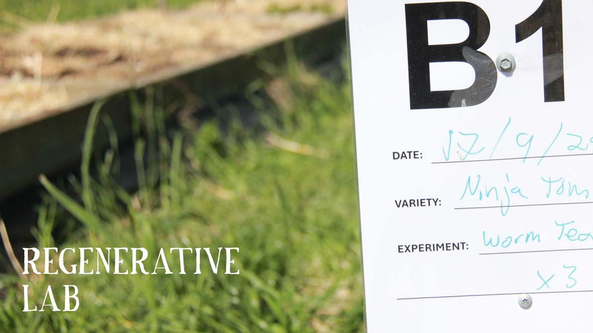 Farm Fresh Fruit & Veg Delivered Sydney & Central Coast