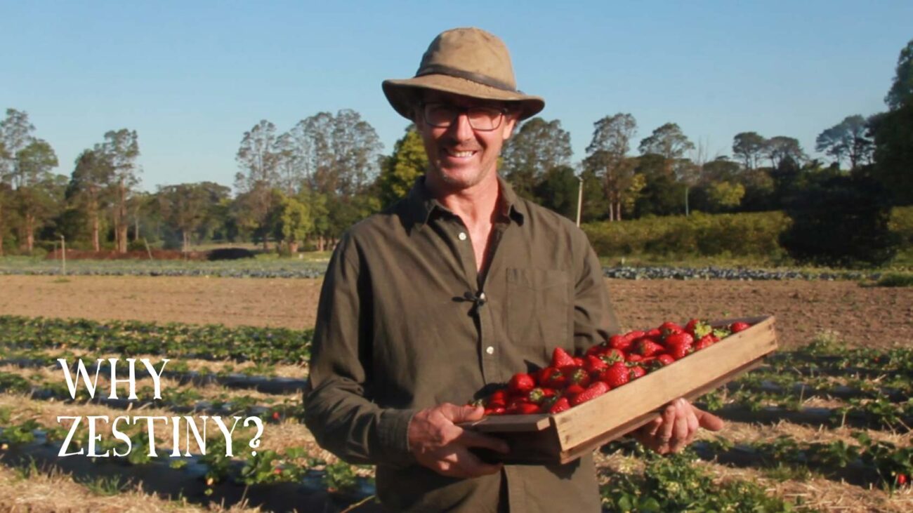 Zestiny Farm Central Mangrove