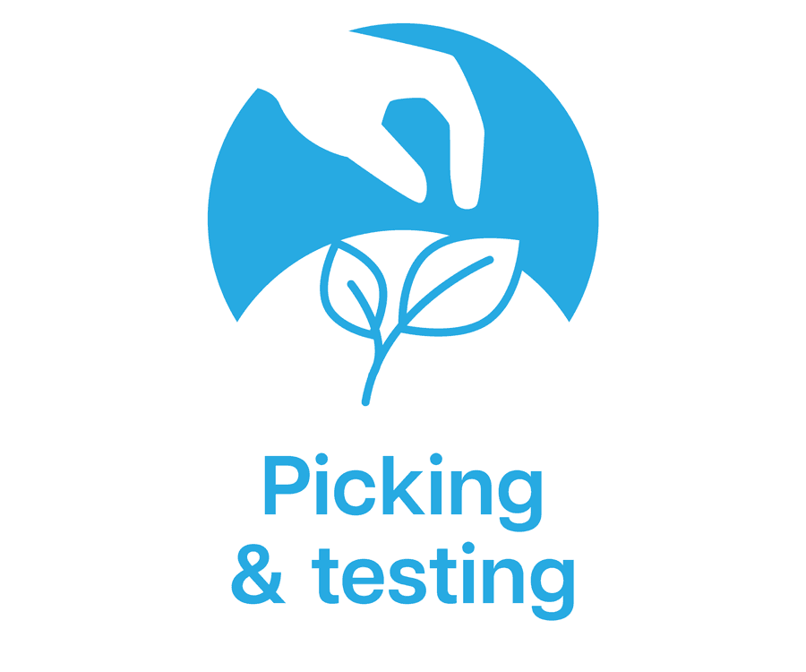 Farm Fresh Fruit & Veg Delivered Sydney & Central Coast